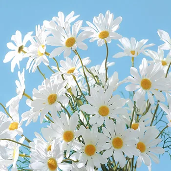 Mali Daisy Umjetna Cvet Od Kamilice Proljeće Izlet Venčanje Ukrase Cvijeće Zid Svemir Umjetna Cvijet Kući Ukras